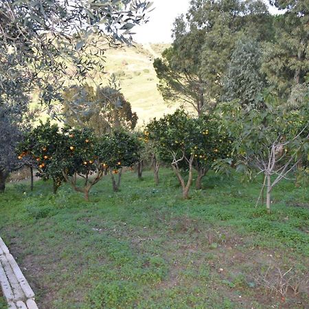 Apartament La Casetta Nel Bosco Calatafimi Zewnętrze zdjęcie